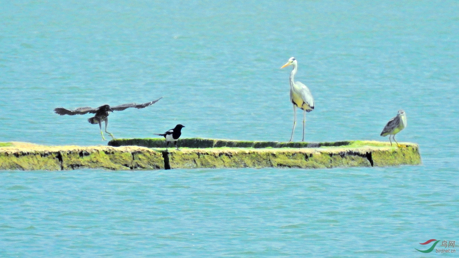DSCN8519.JPG