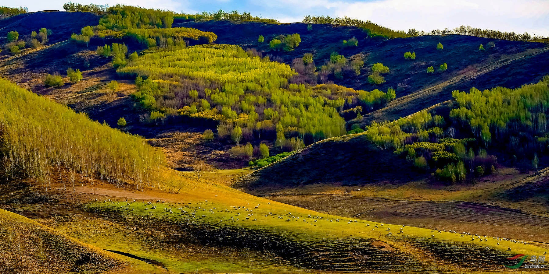 916A7615  03_����.jpg