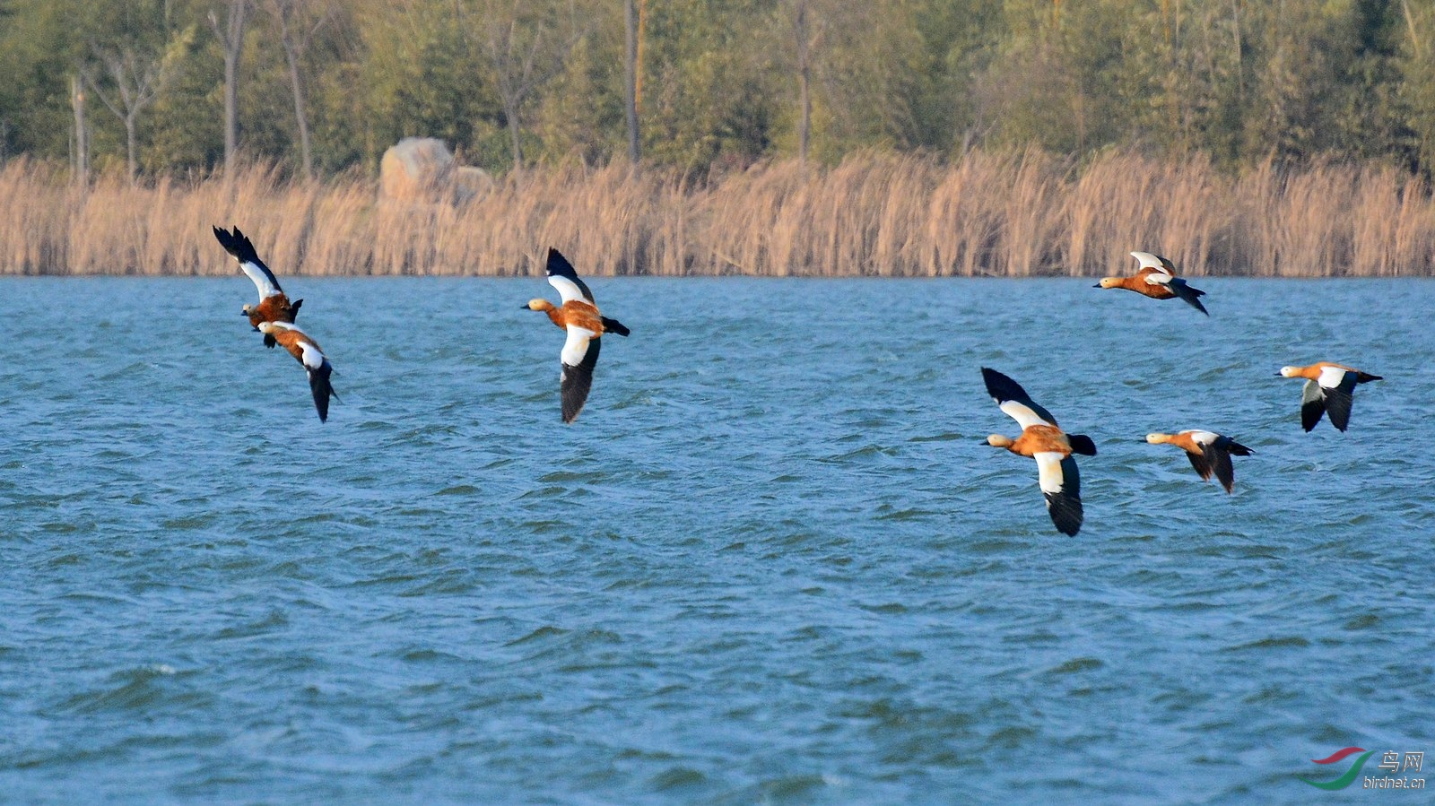 DSC_9147.JPG