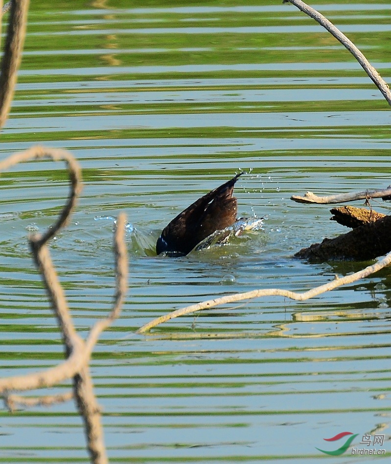 DSC_5719.JPG