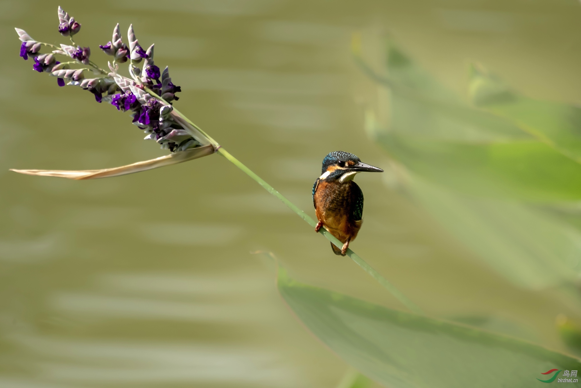 DSC_5755_����.jpg