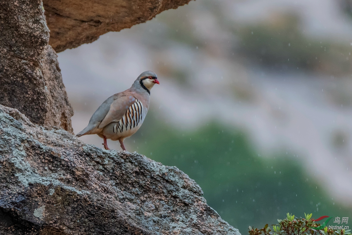 dsc_2938_ABC��ͼ_����.jpg