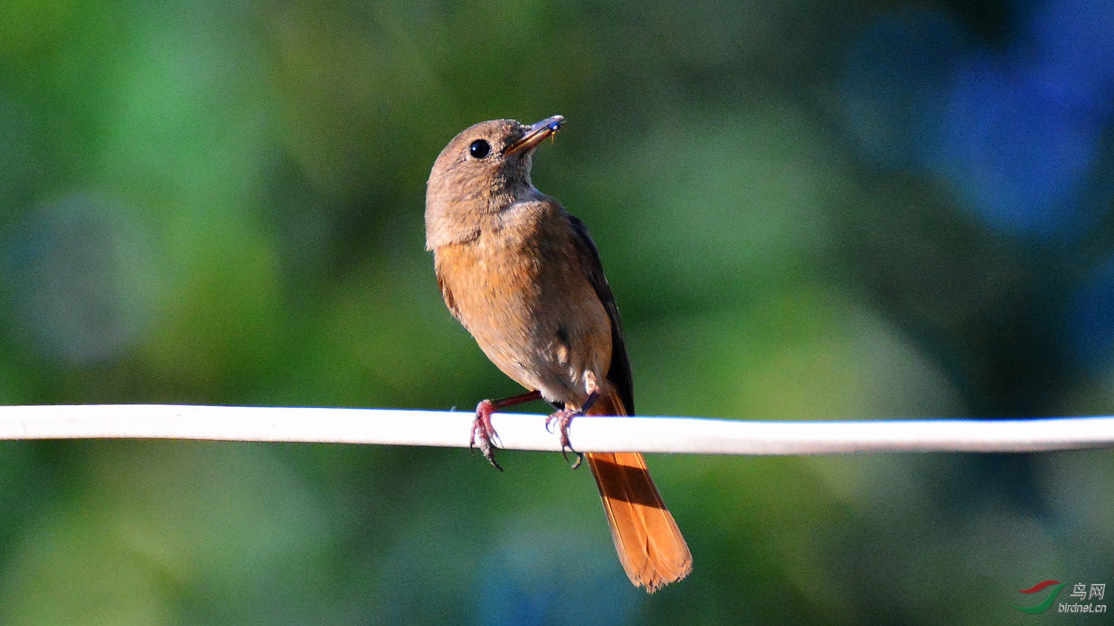 DSC_8500.JPG