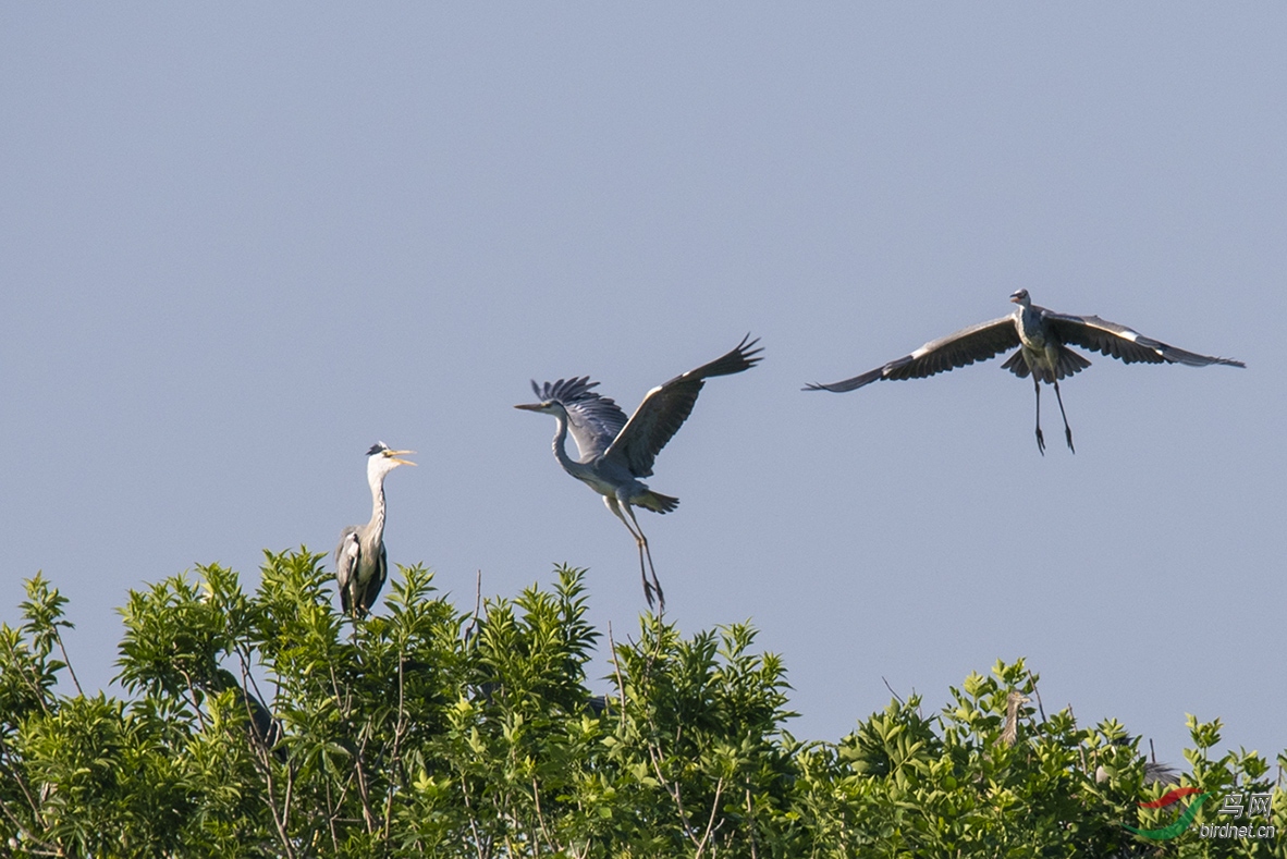 D50_5813.jpg