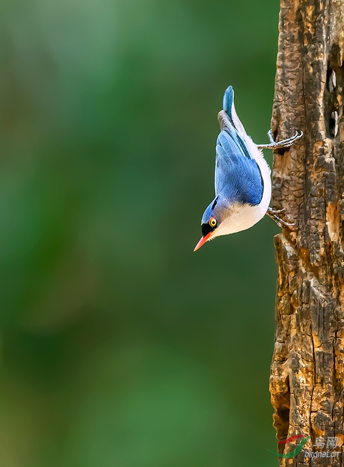 AC1I4376-�ָ��� (2).jpg