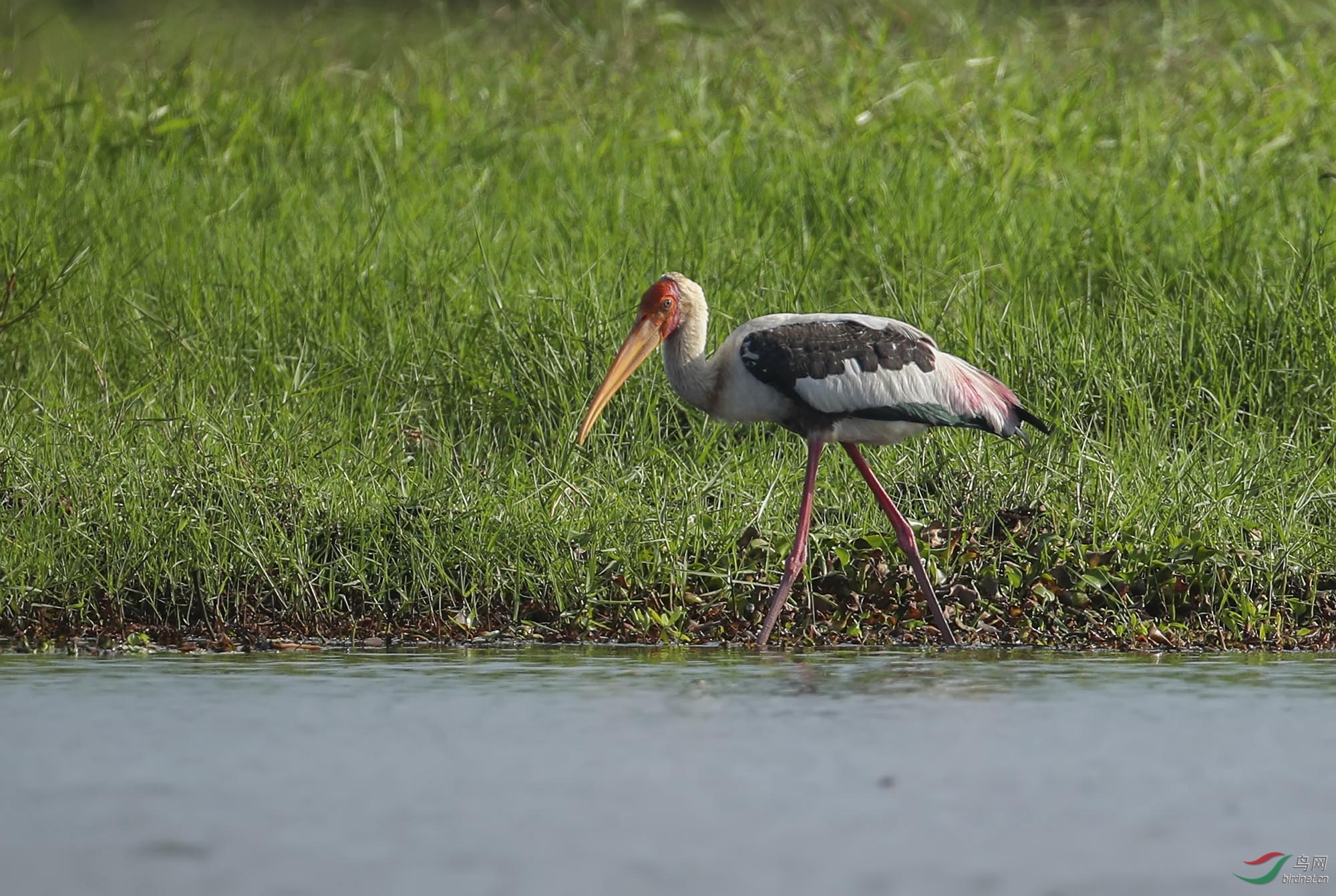 BT1I4293-.' (16).jpg