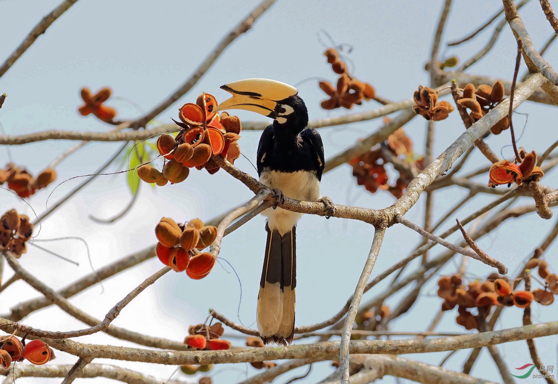 P3170217_����_DxO (����).jpg