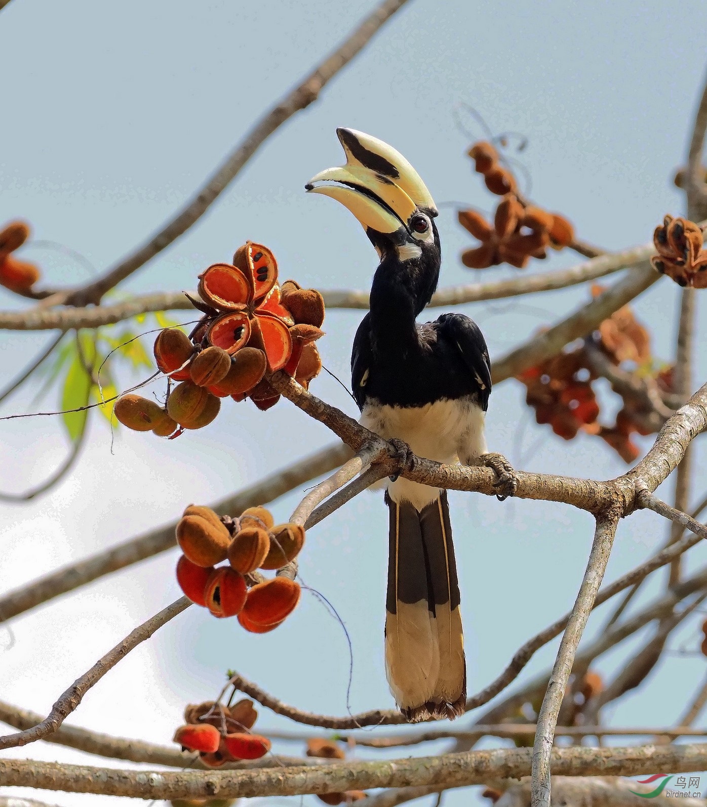 P3170234_����_DxO (����).jpg