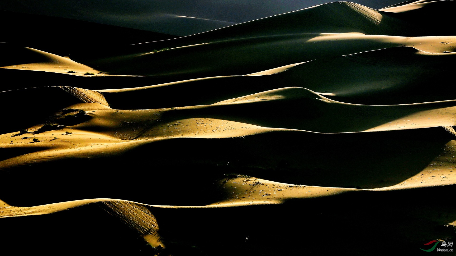_96A9588.JPG