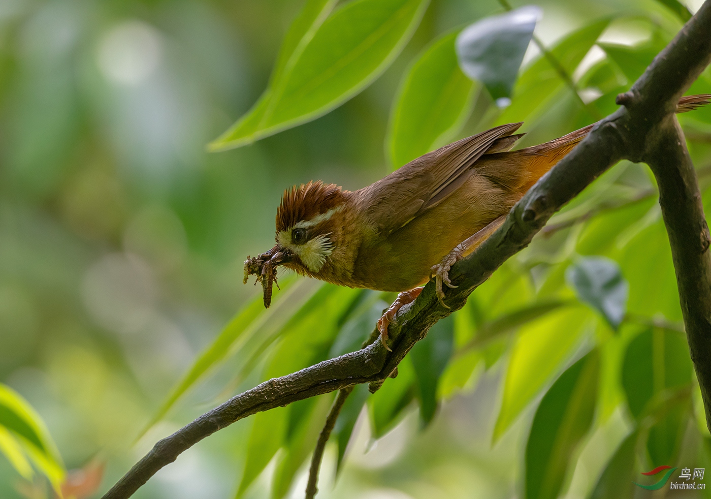 DSC_6094.jpg