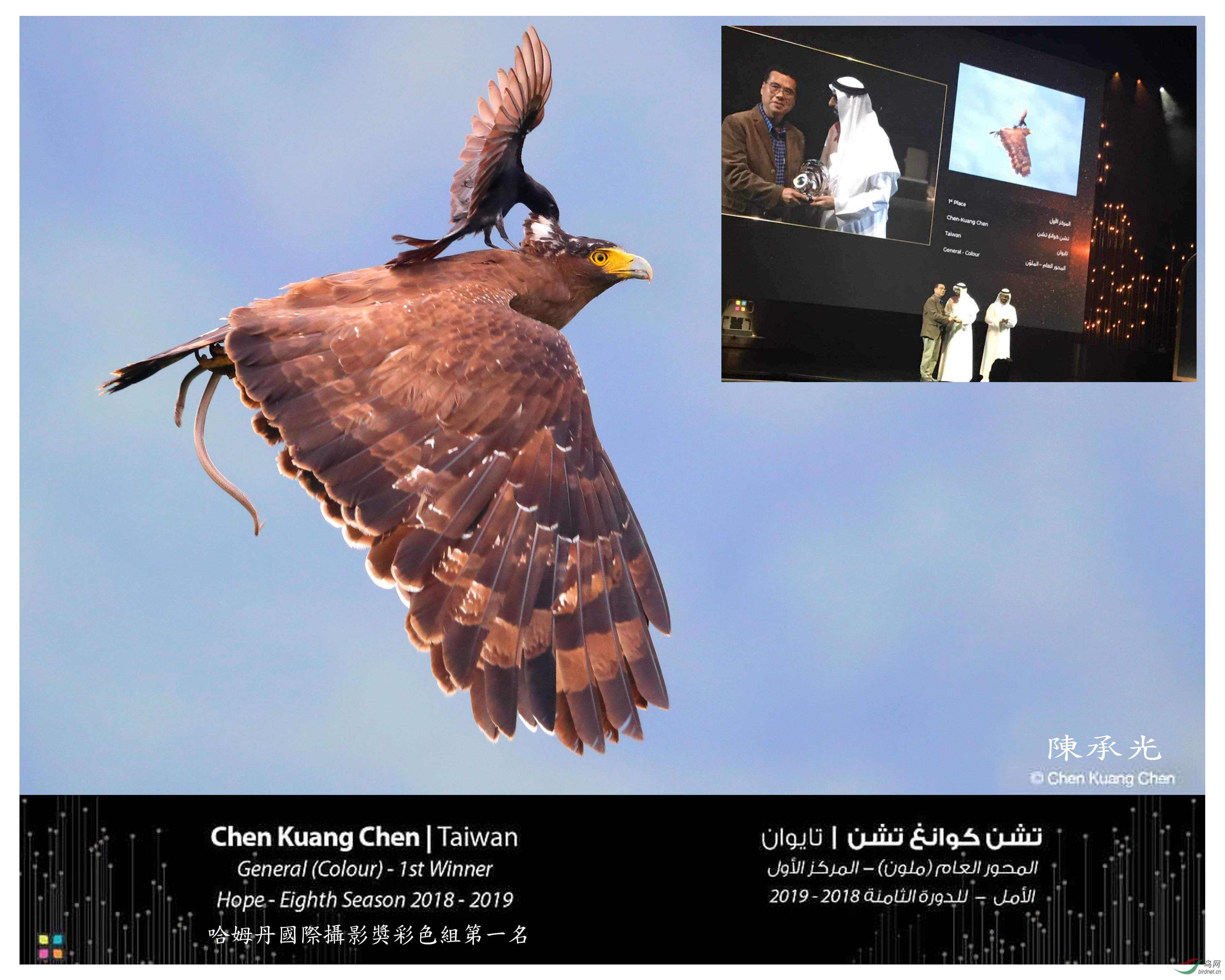 �����mϵ����Ƭ����һ���õ���ķ�����H�zӰ��,��һ��,�������Ű��I��