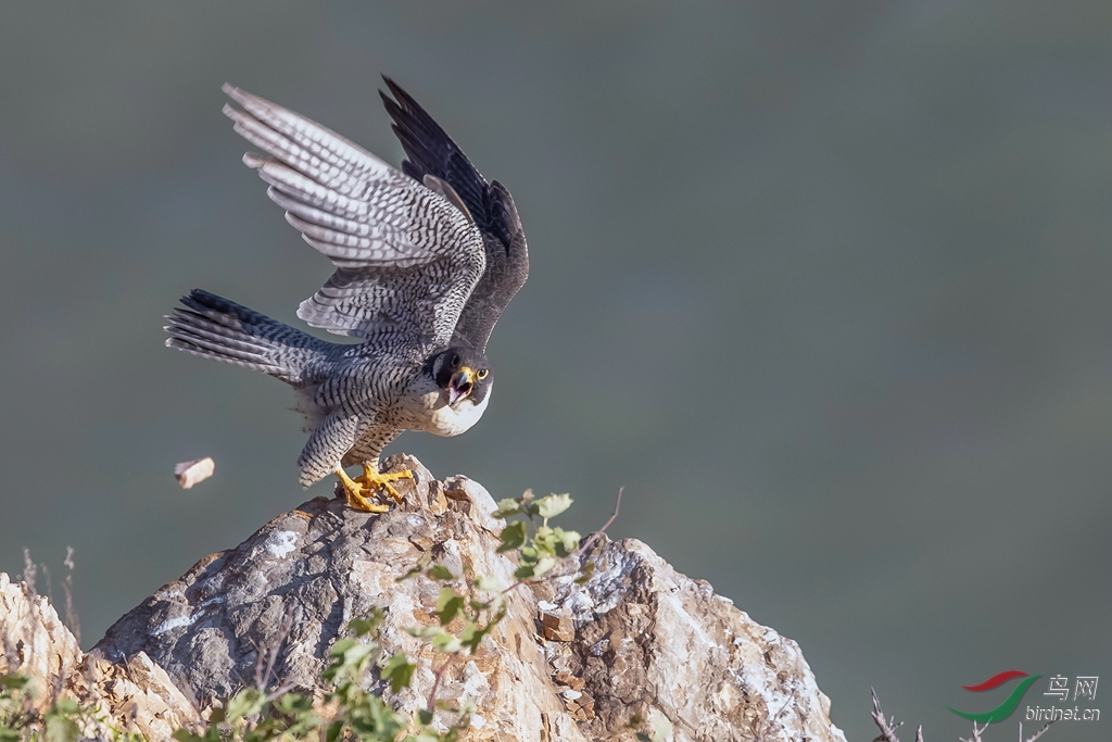 _K8I3035 ���ֵ�����_����.jpg