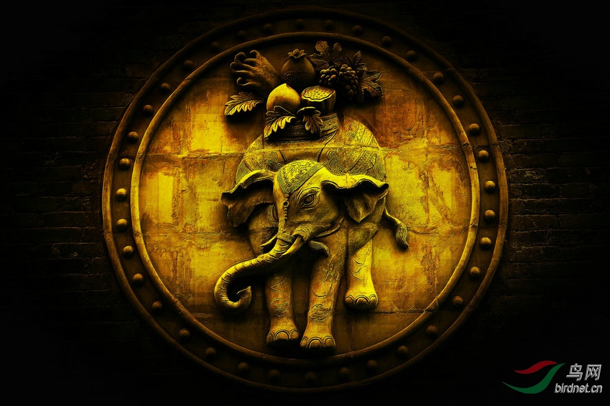 8J6A8795_����_����1_����.jpg