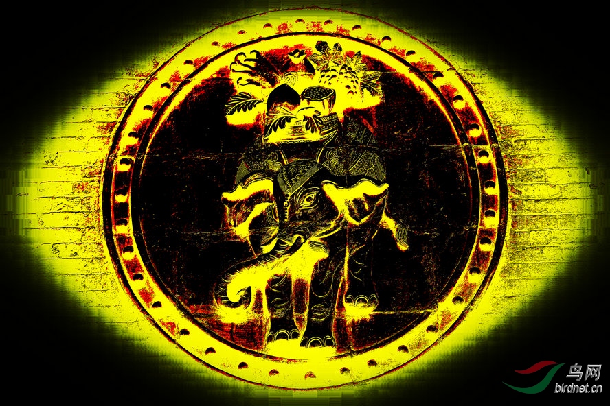 8J6A8795_����_����2_����.jpg