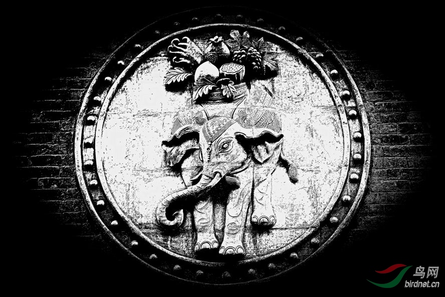 8J6A8795_����_����2_����1_����2_����.jpg