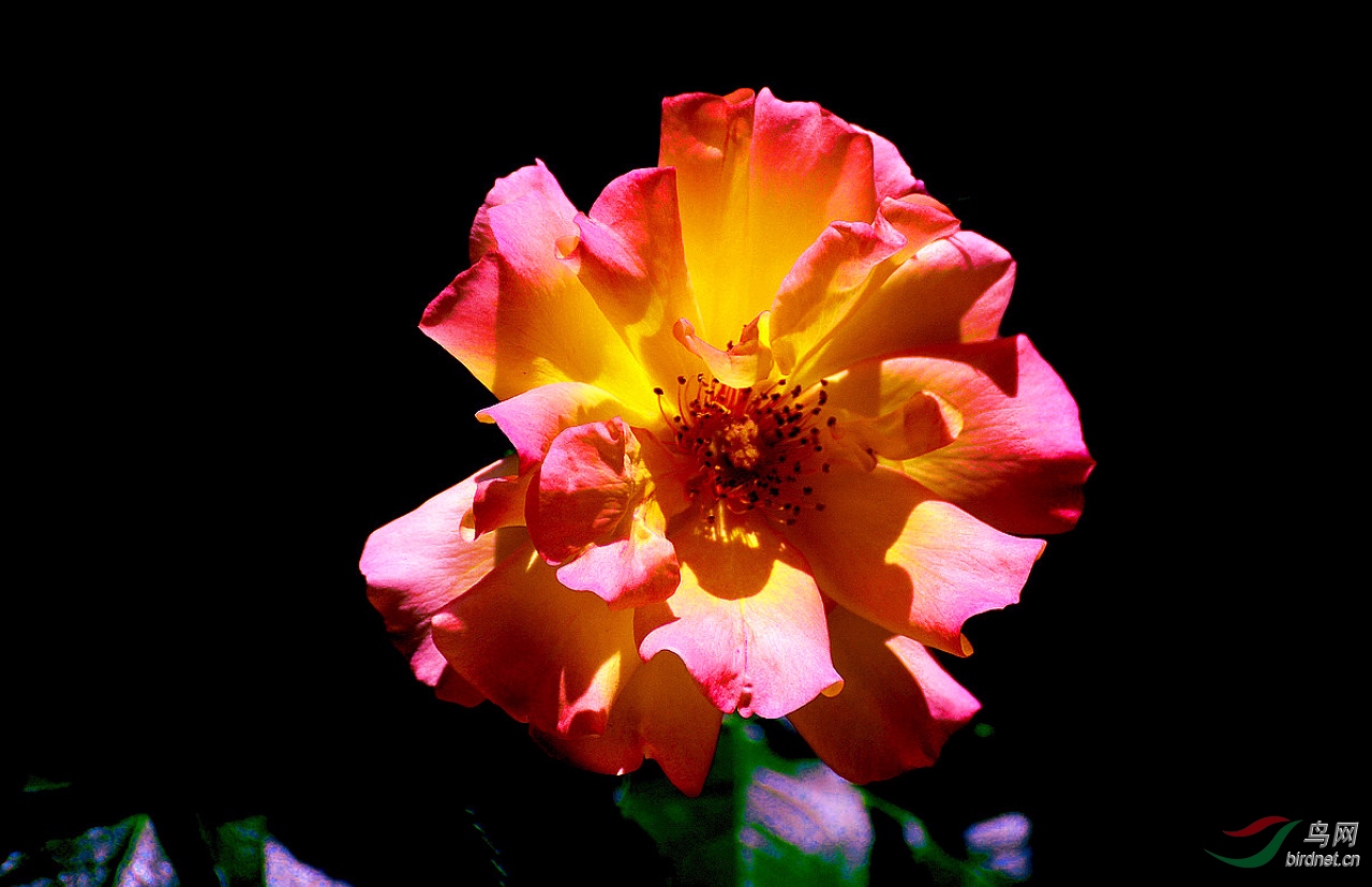 DSC_3401.JPG