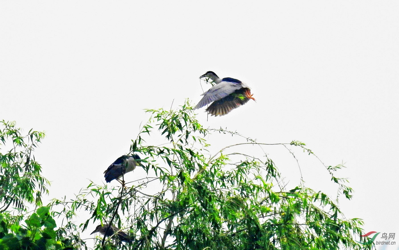 DSCN2138.JPG
