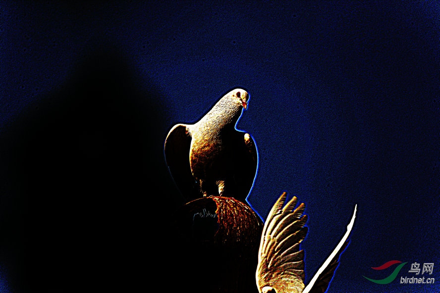 AQ1I2403_����_����.jpg