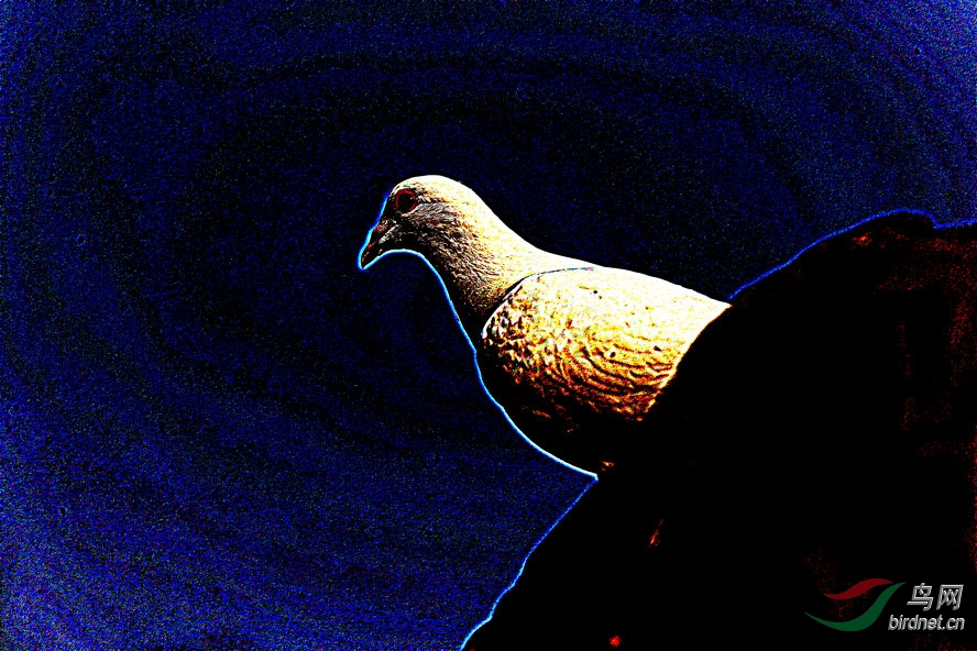 AQ1I2596_����_����.jpg