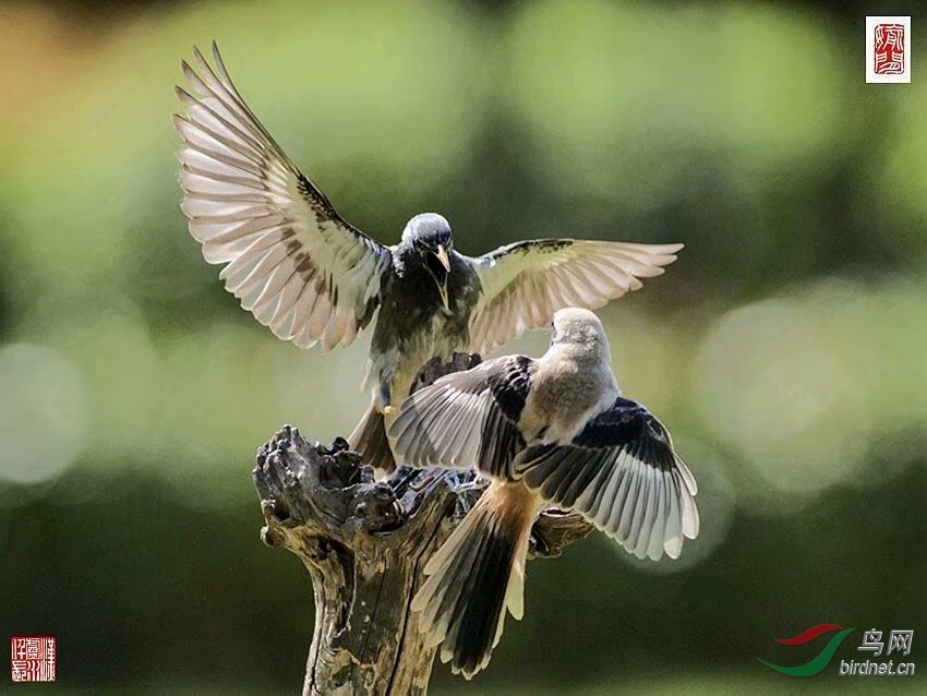 AF0C256A-A96B-4F50-AA47-358EFB13C50F.jpeg