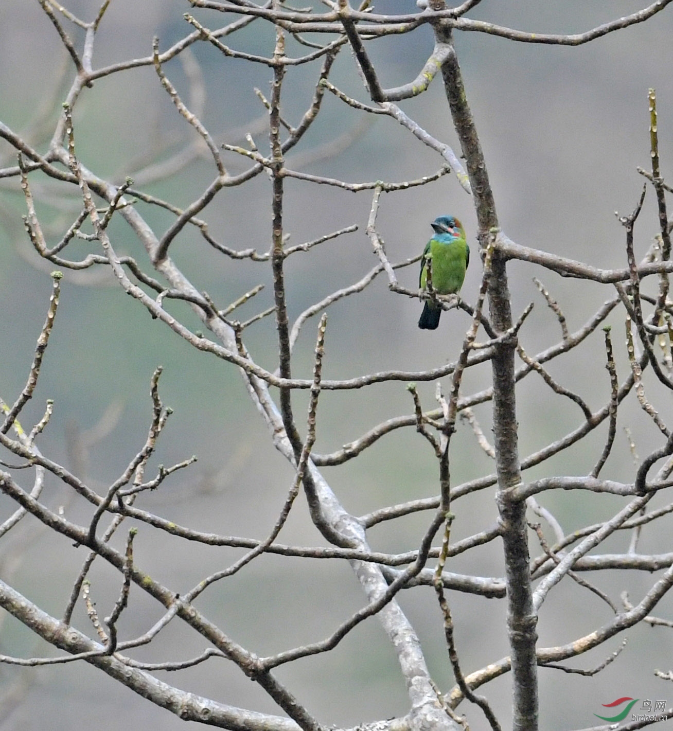 DSC_10331.jpg