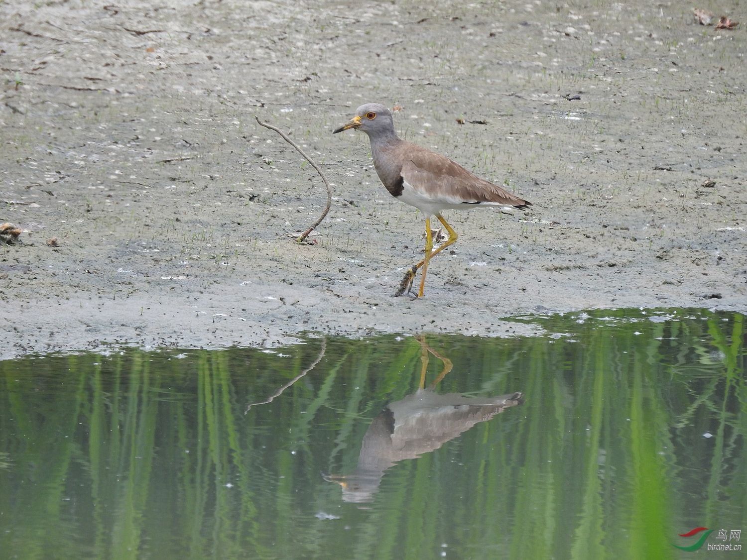 DSCN1609.jpg