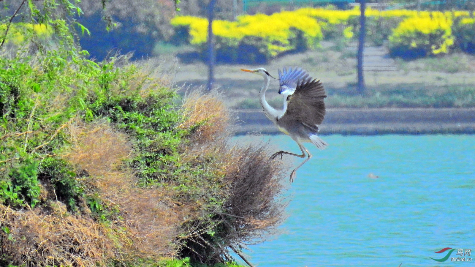 DSCN8570.JPG