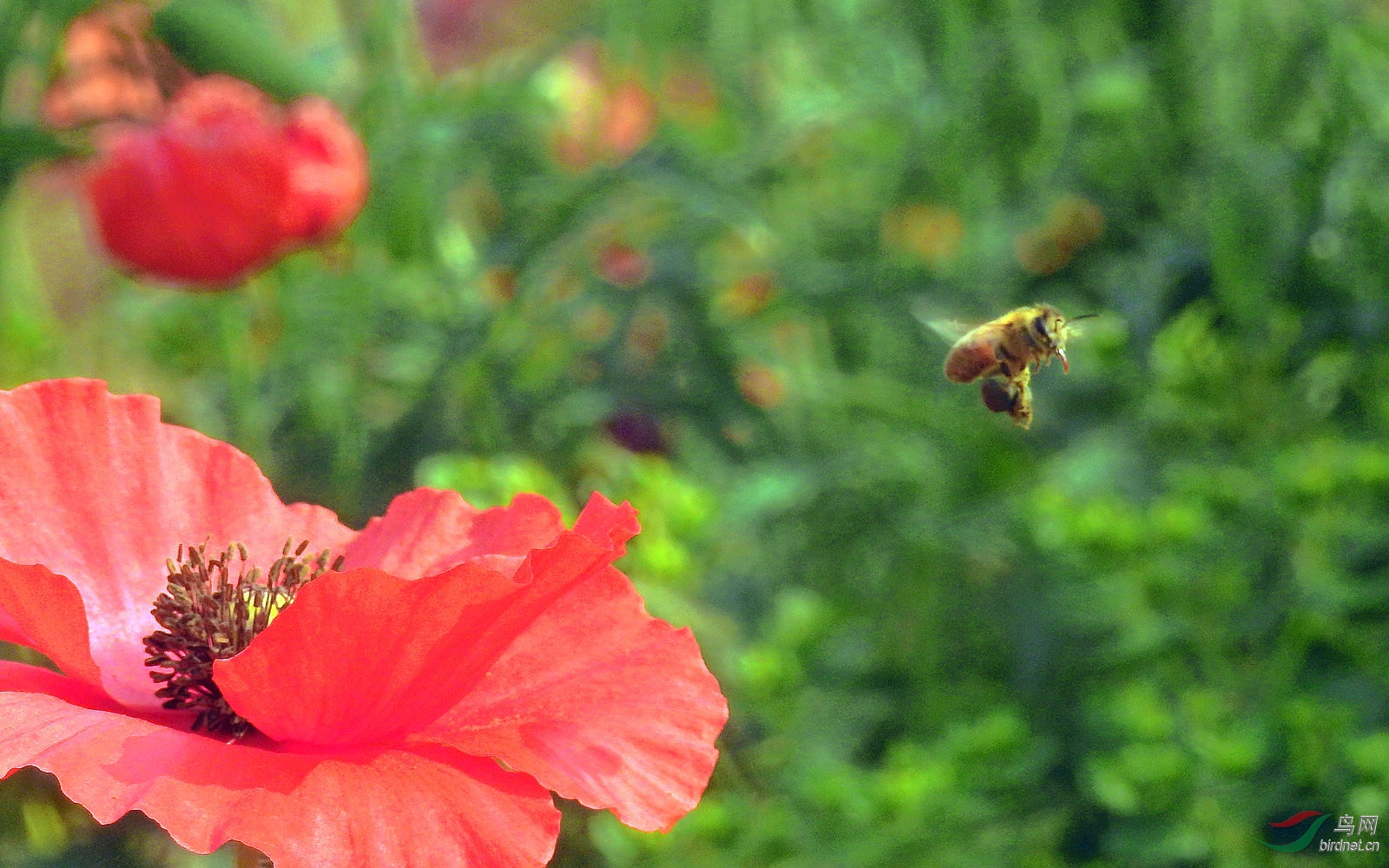 DSCN7786.JPG