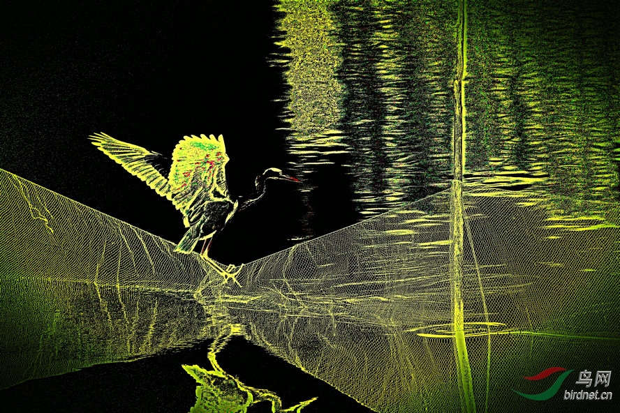BW6I8747_����_����1_����.jpg