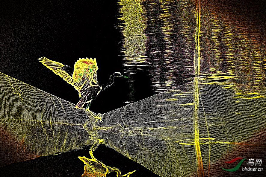 BW6I8747_����_����1_����1_����.jpg