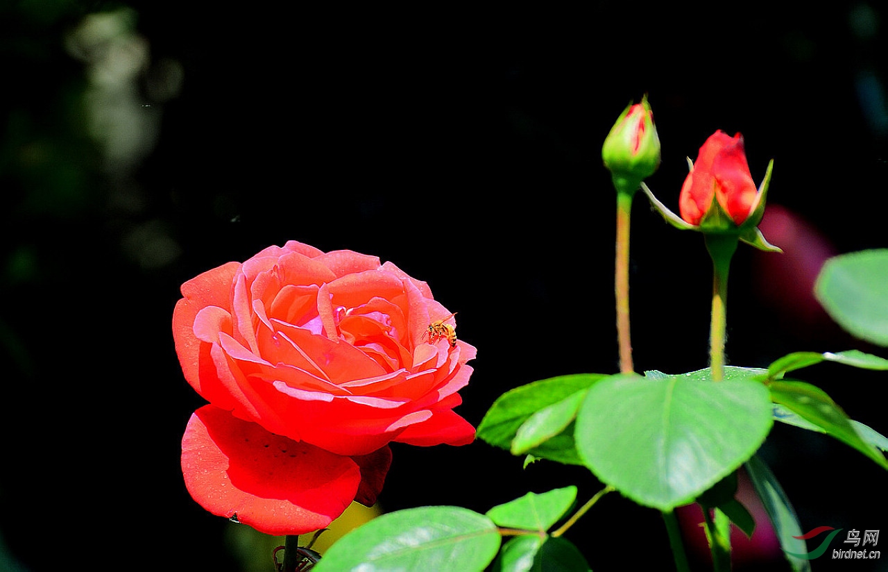 DSC_3476.JPG