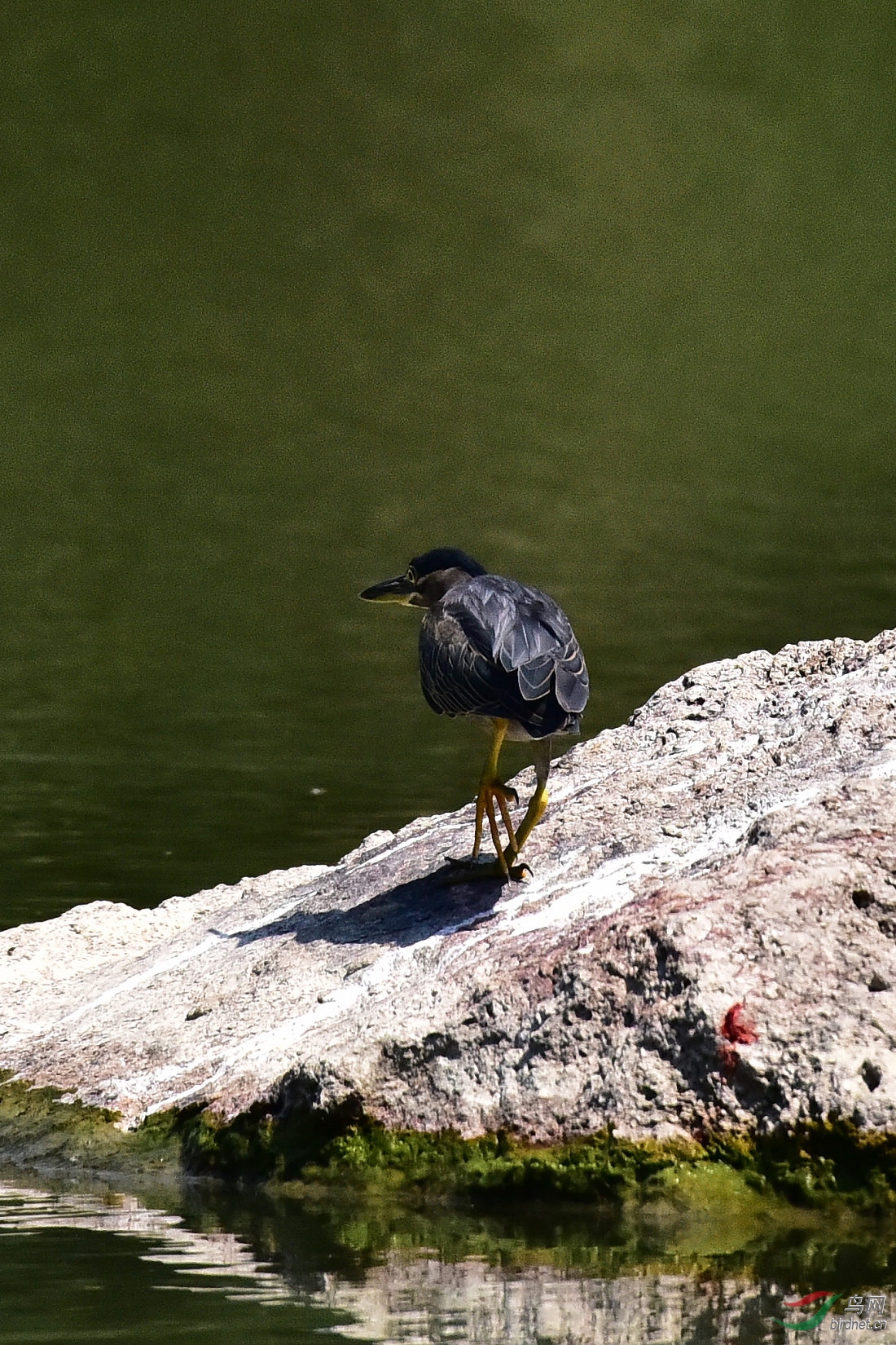 DSC_0198.JPG