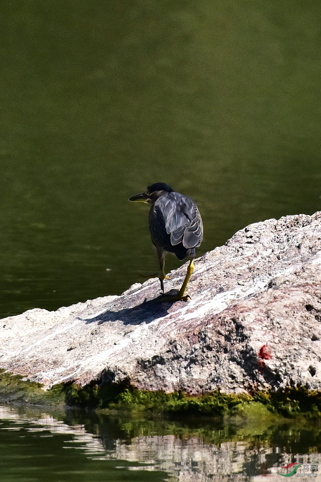 DSC_0199.JPG
