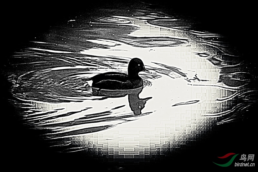 BW6I9137_����_����1_����1_����.jpg