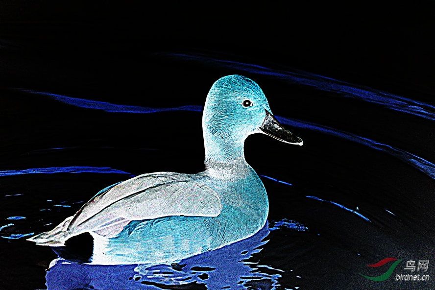 BW6I9445_����_����.jpg