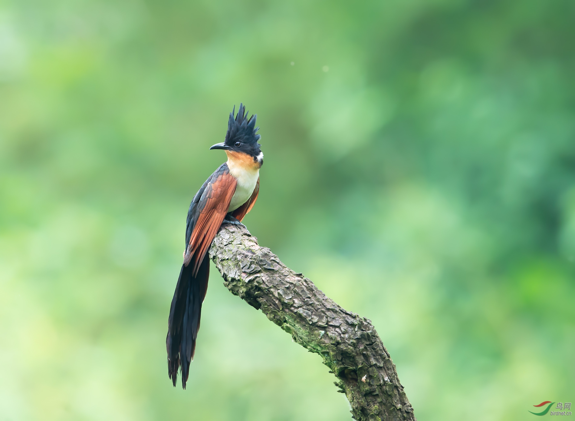 DSC_4718 NW.jpg