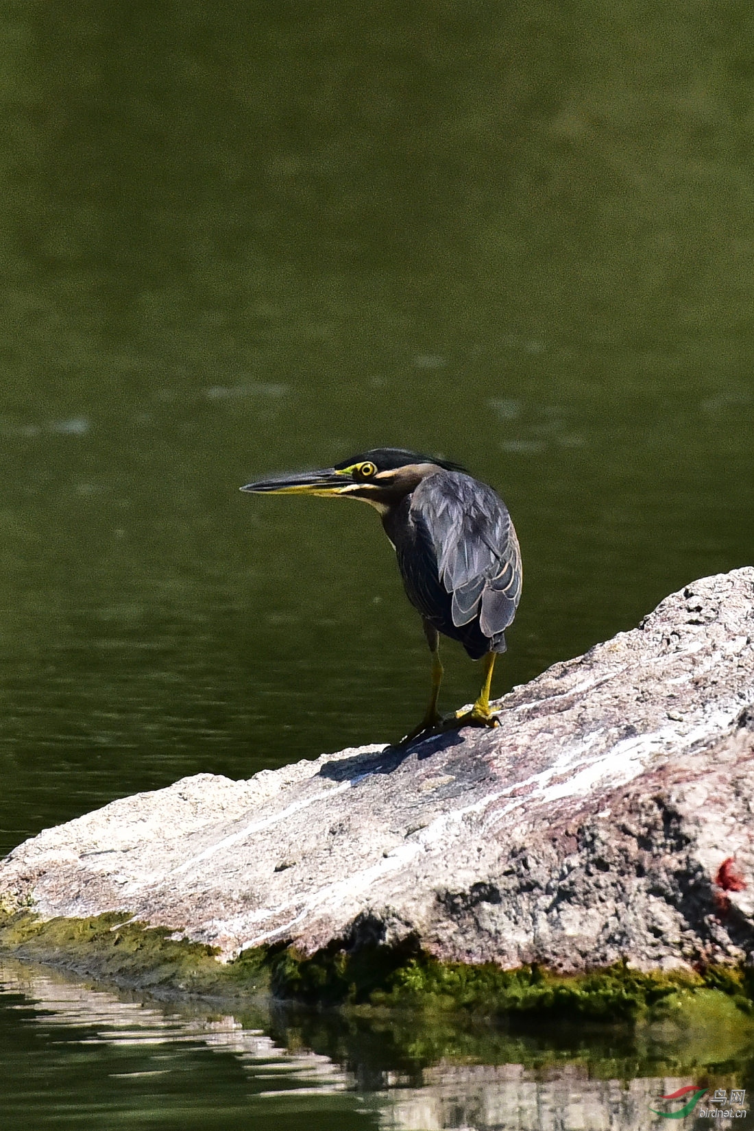 DSC_0203.JPG
