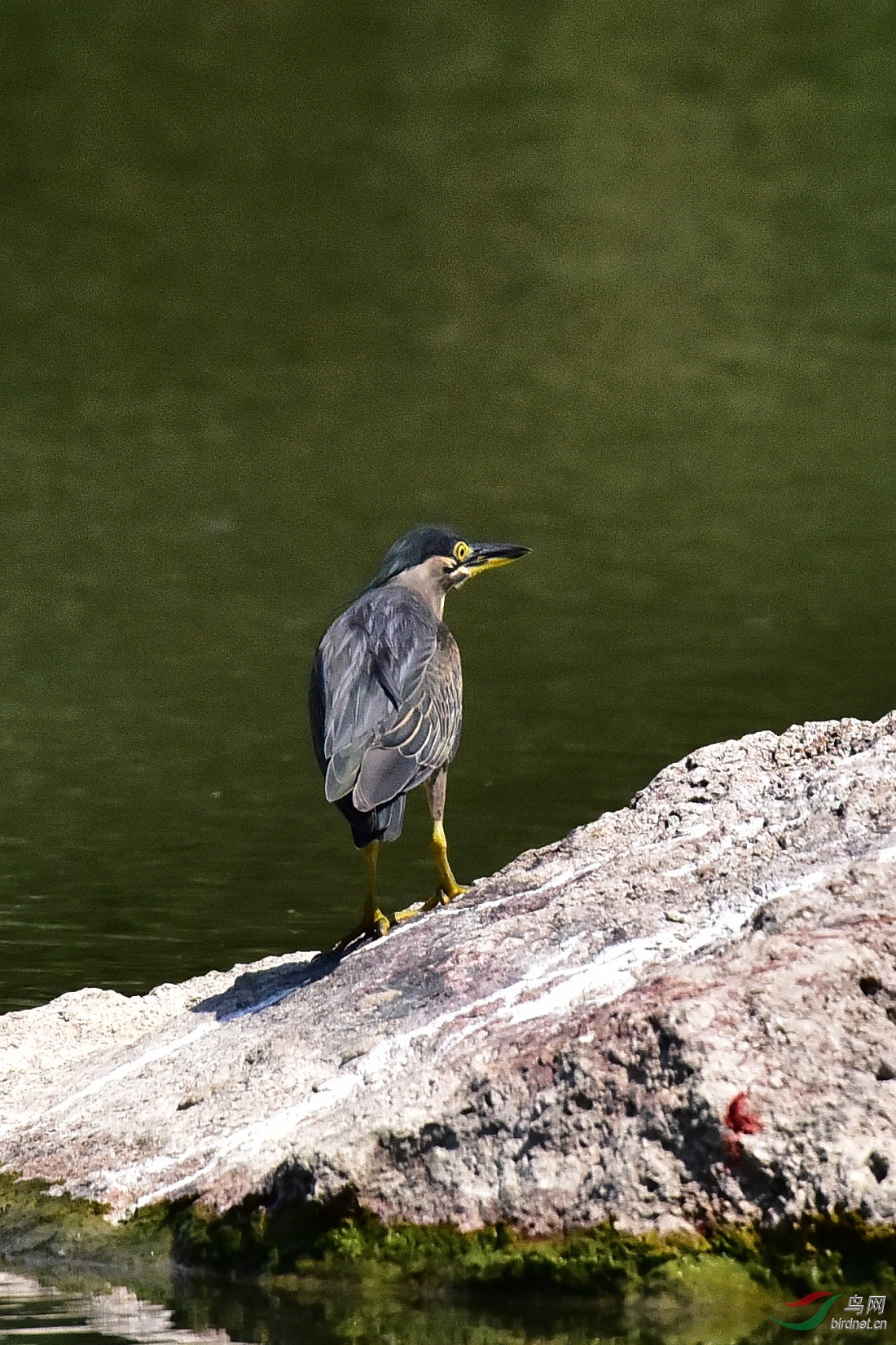 DSC_0204.JPG