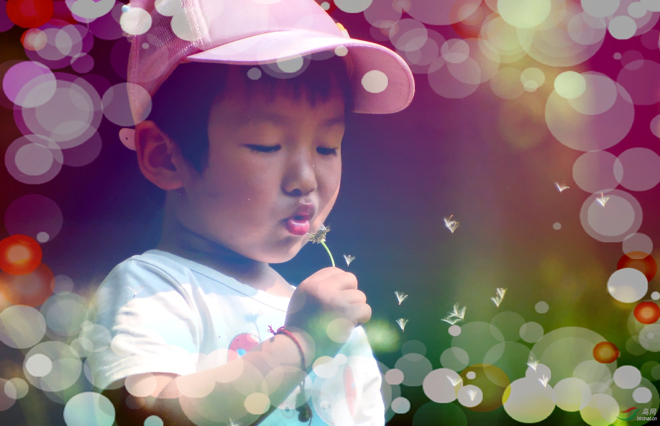 DSC_1718_conew2.jpg