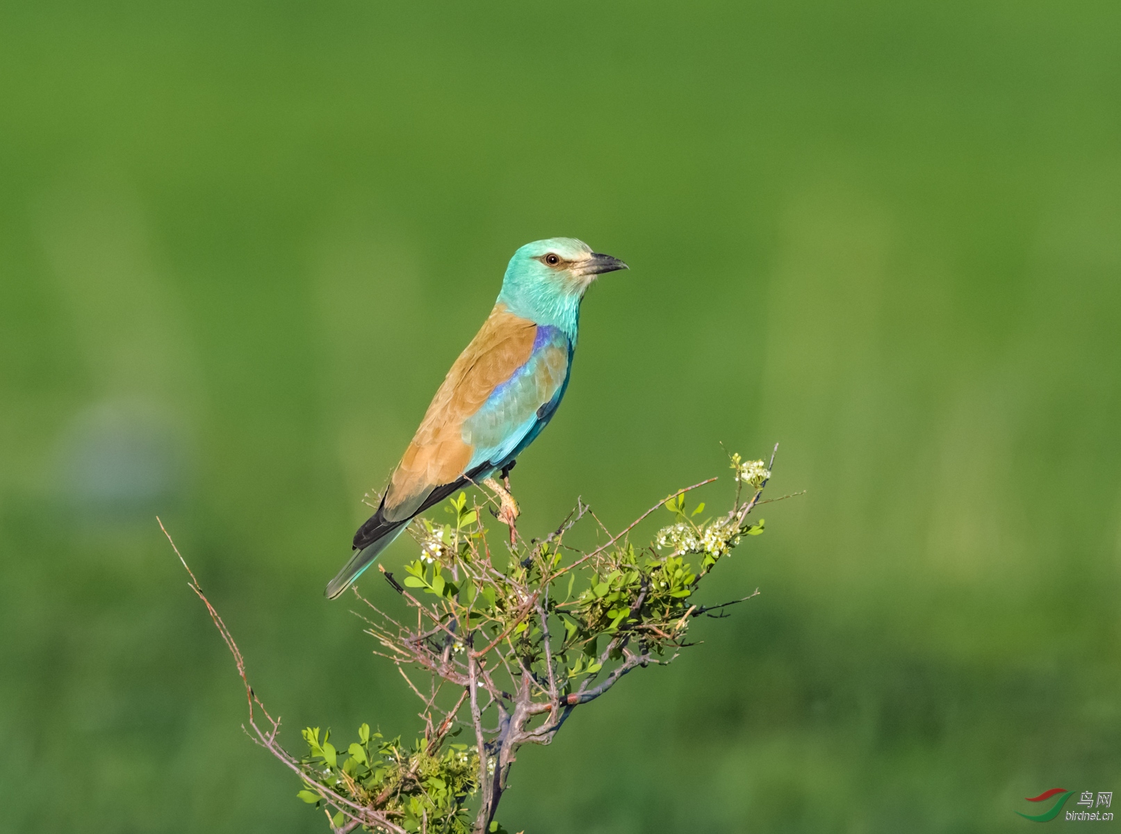 DSC_3481.jpg