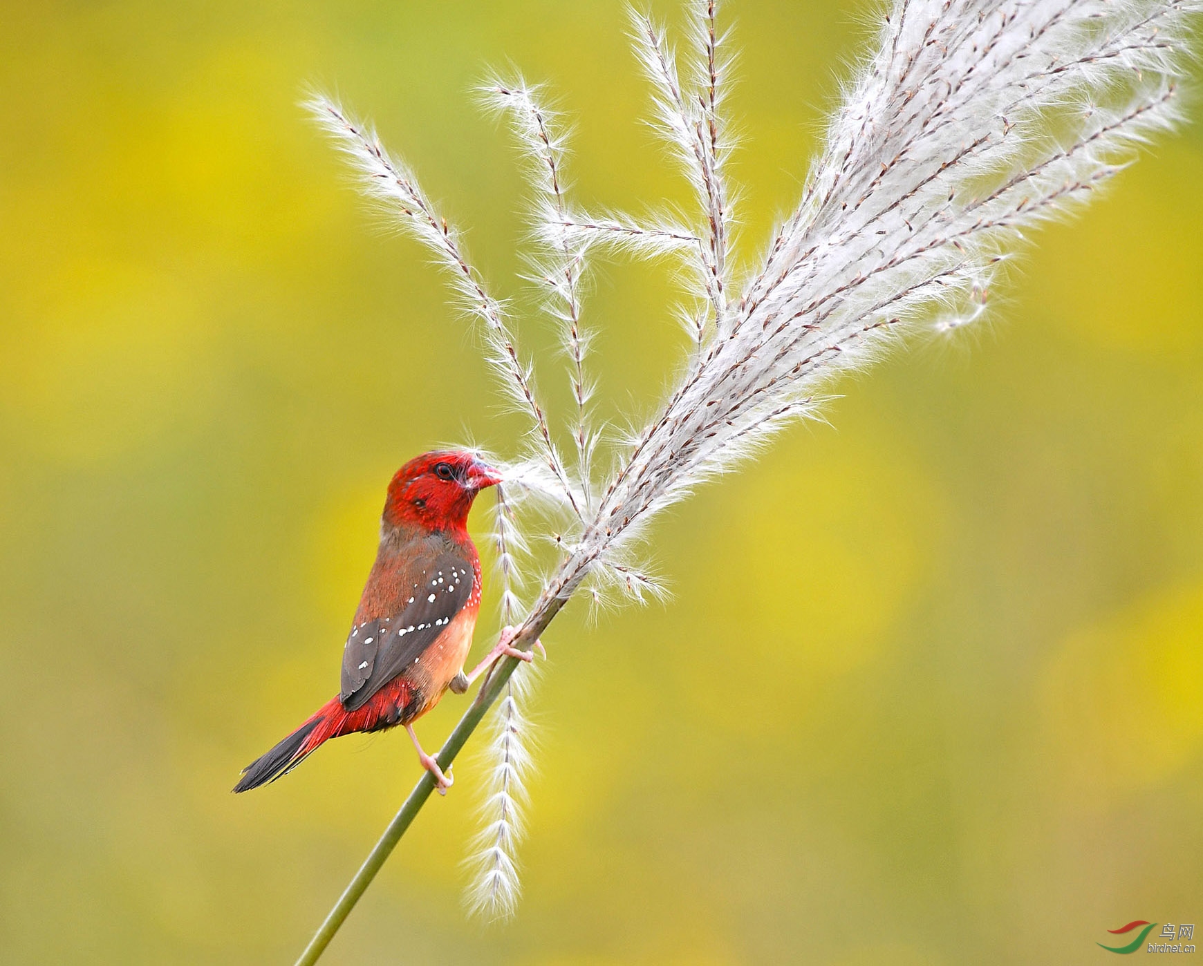 DSC_8366 ����.jpg