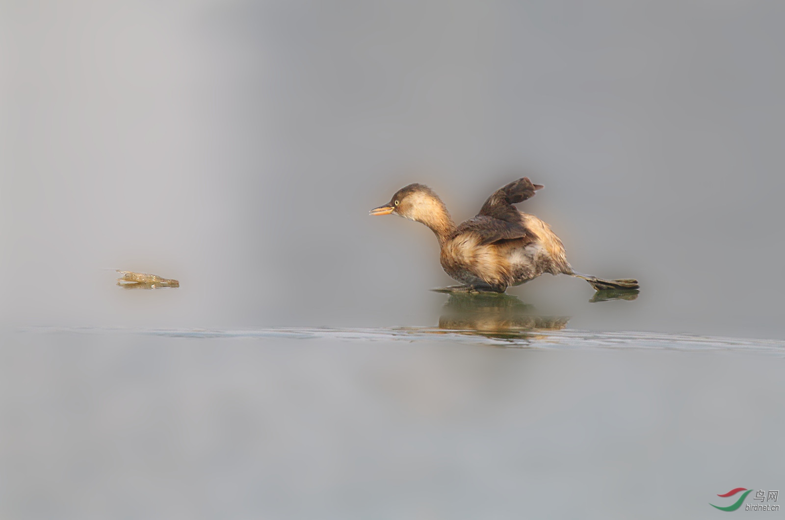 ��Ƭ 855_����.jpg