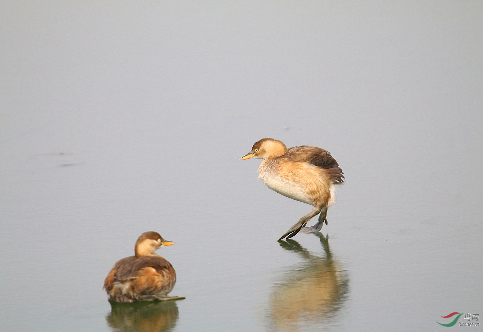 ��Ƭ 665_����.jpg