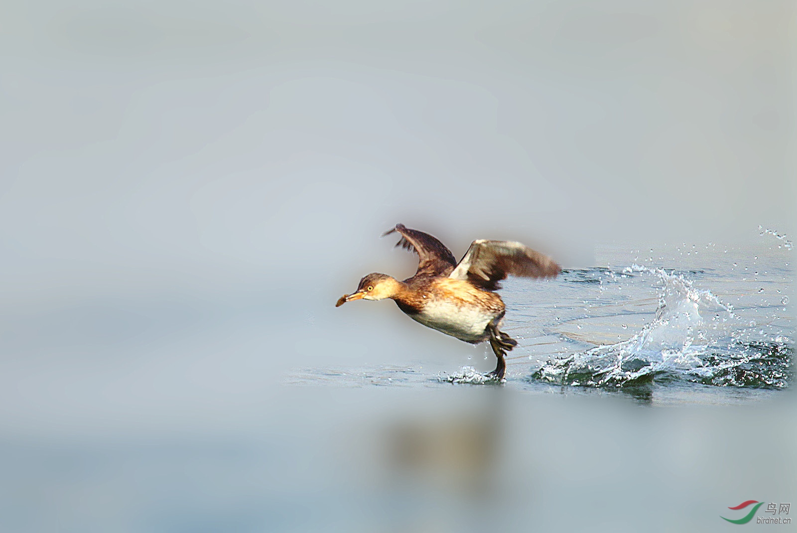 ��Ƭ 835_����_����.jpg