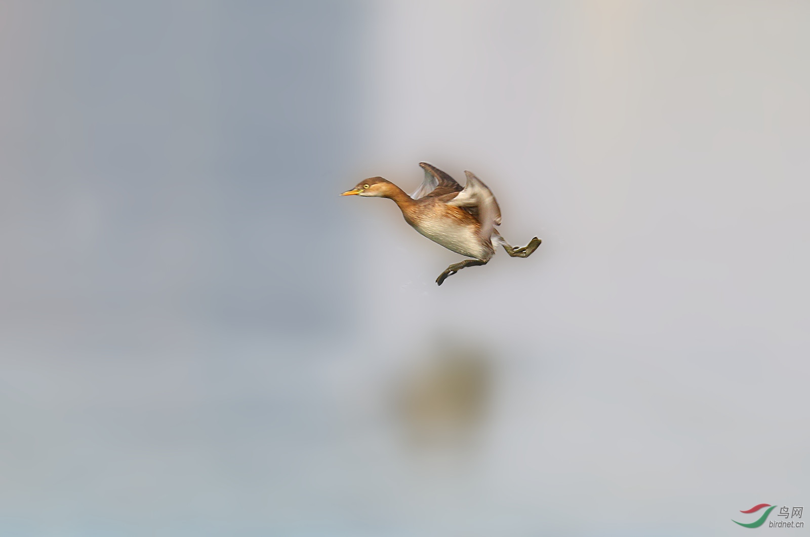 ��Ƭ 249_����.jpg