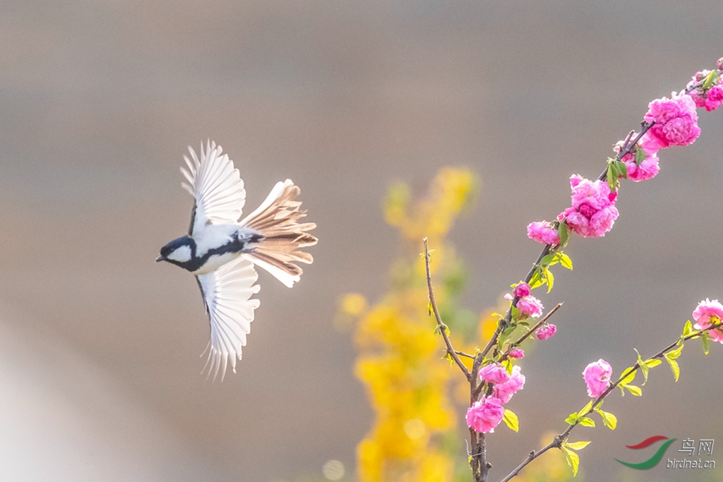 _K8I1842  01_����.jpg