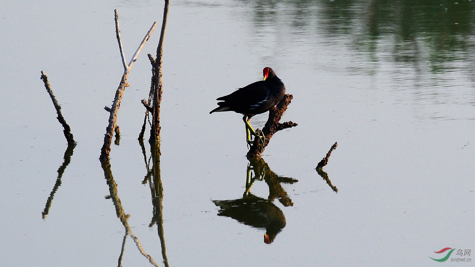 DSC_5697.JPG
