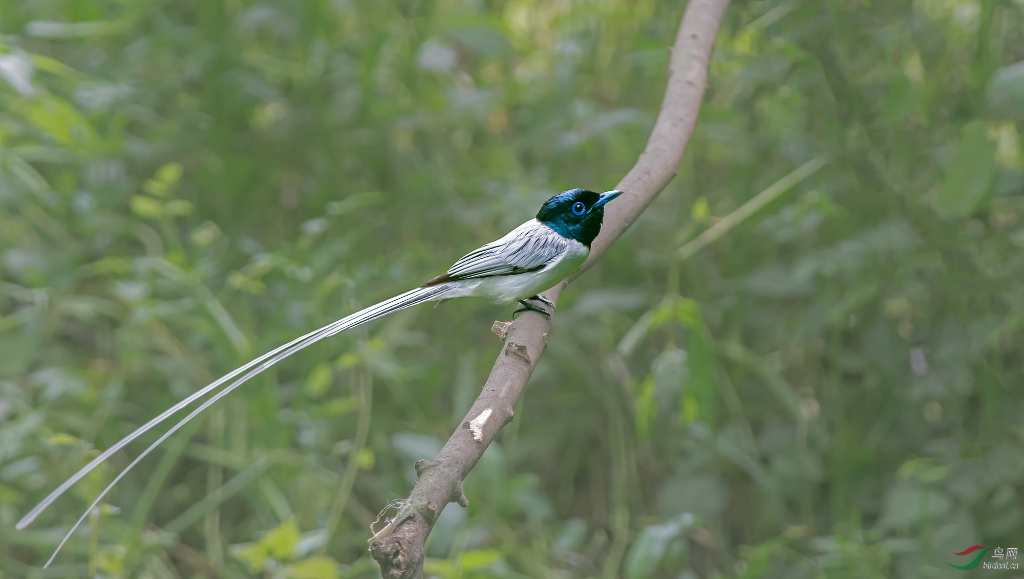 DSC_5614-5.jpg