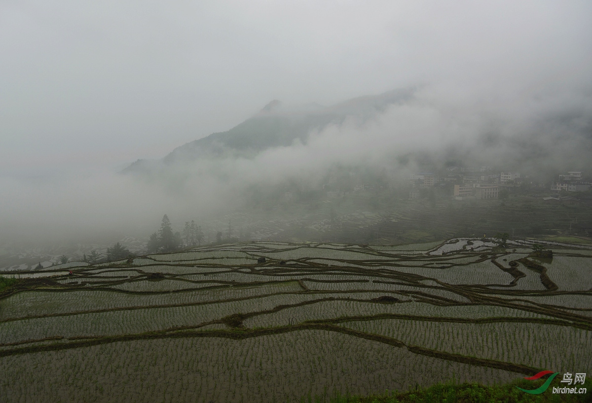 D8I_5804.jpg