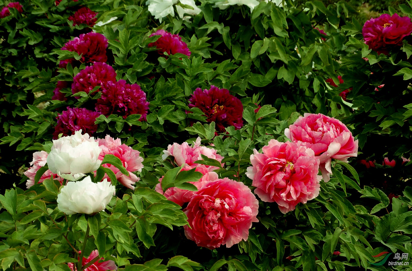 DSC01316.JPG